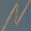 AD